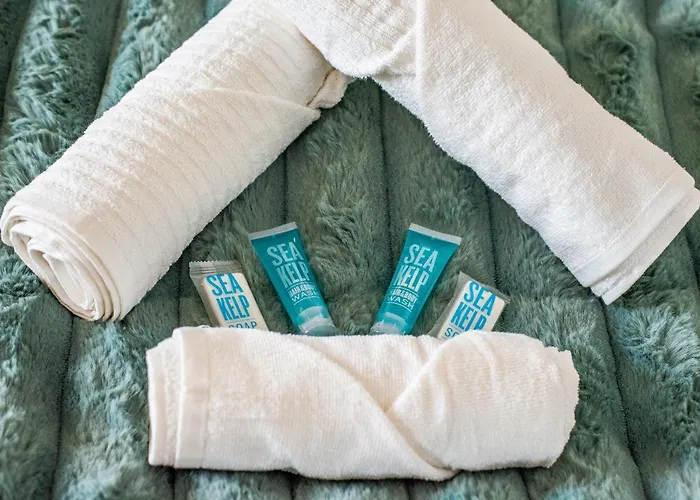 Apartman Le Rollin - Proche Hopital- Netflix