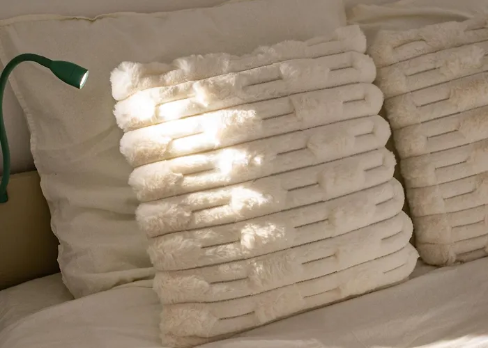 Apartman Le Rollin - Proche Hopital- Netflix *